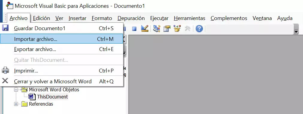 Imagen: Opción “Importar archivo” en el editor de Visual Basic