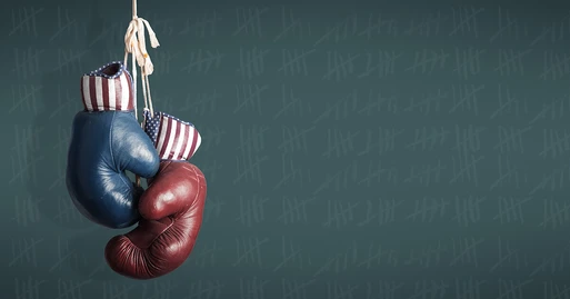 Internet y política: el domaingrabbing en campaña Internet y política: el domaingrabbing en campaña