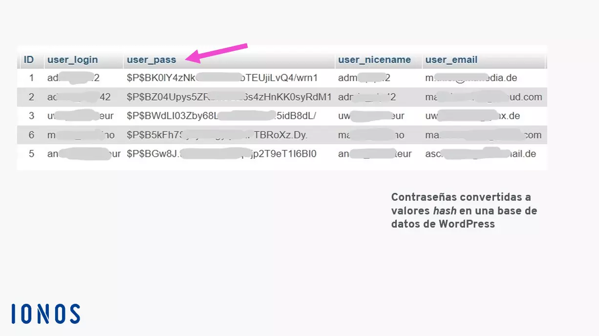 Imagen: Tabla hash en una base de datos de WordPress