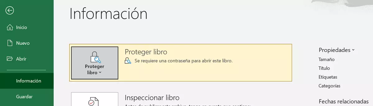 Imagen: Representación de la pestaña de Información cuando el libro está protegido