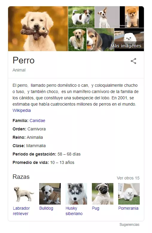 Imagen: Panel de conocimiento de un Knowledge Graph para la búsqueda “perro”