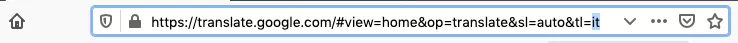 Imagen: URL de Google Translate con código de idioma
