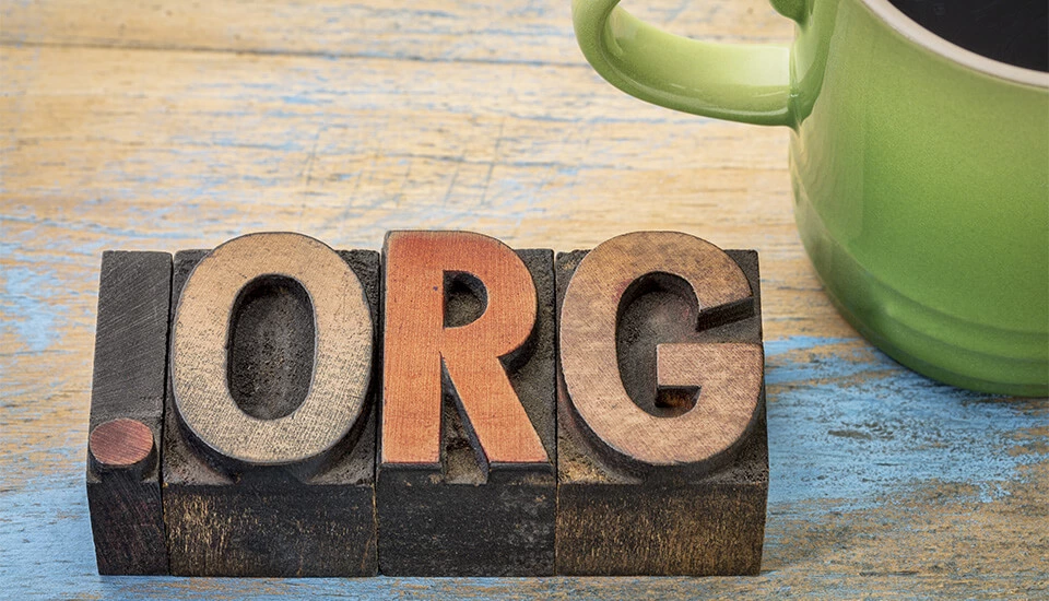 ¿Qué significa .org? Todo sobre este dominio Imagen: ¿Qué significa .org? Todo sobre este dominio