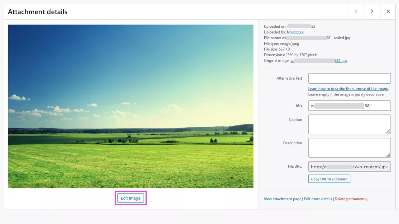 Kuva: Image editing in WordPress library
