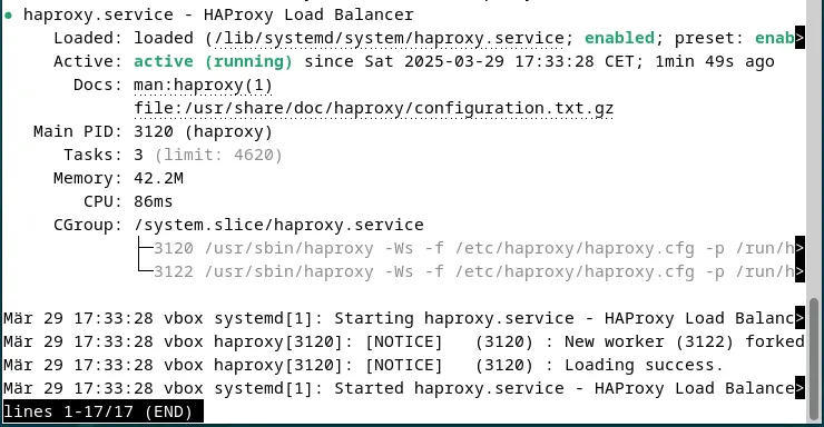 Kuva: Screenshot of the current HAProxy status in the terminal