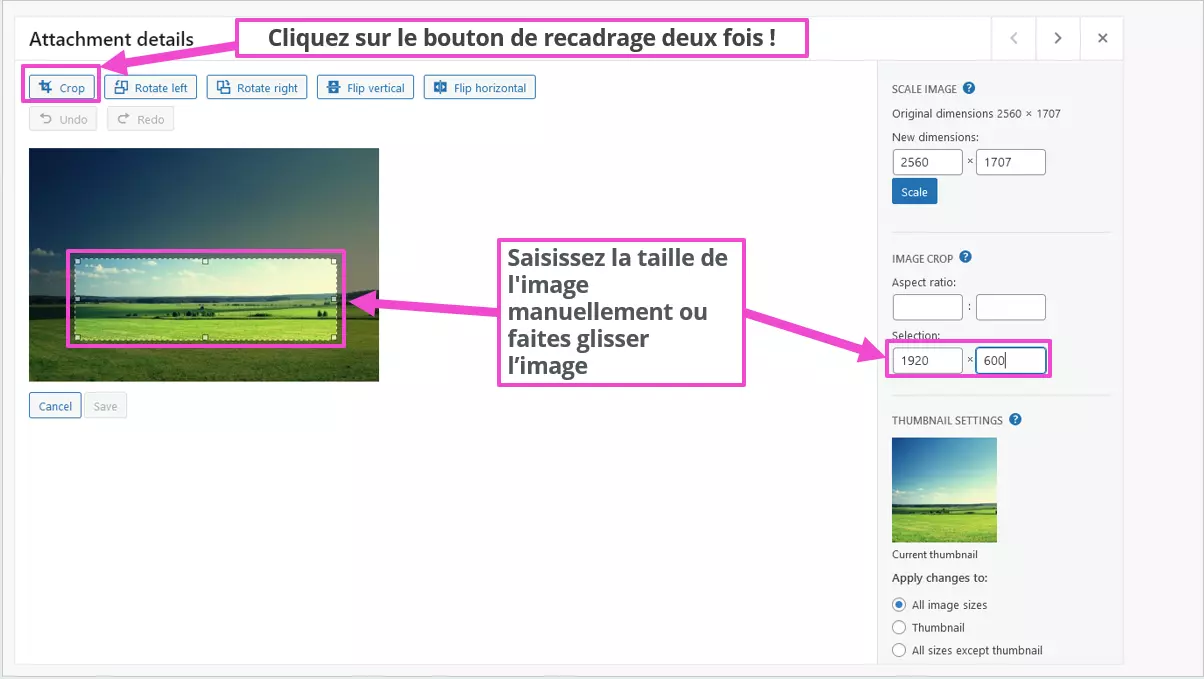 Image: Définir la nouvelle taille des images dans la bibliothèque WordPress