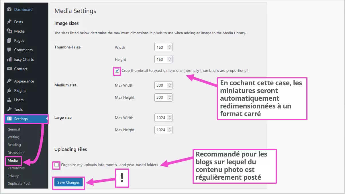 Image: Réglage de la taille des images dans le tableau de bord WordPress
