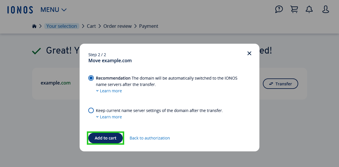 The domain name server settings pop-up with the Add to cart button highlighted.