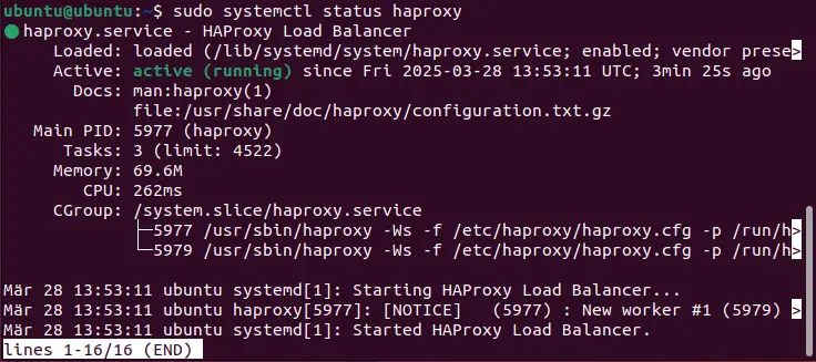 Image: Screenshot of the current HAProxy status in the terminal
