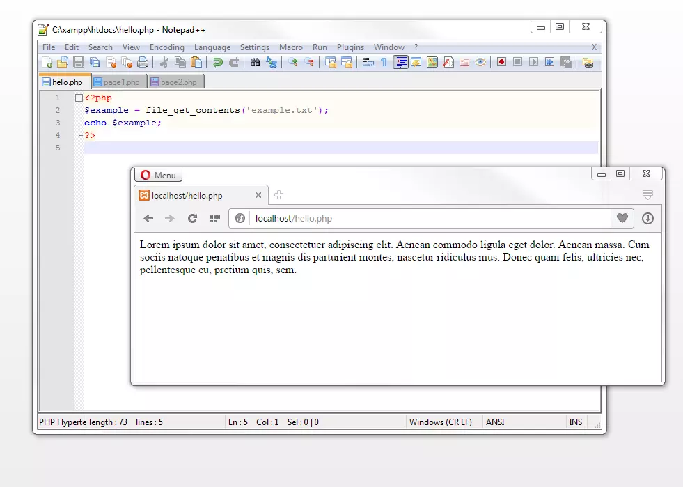 The script reads the file example.txt. Afbeelding: The script reads the file example.txt.