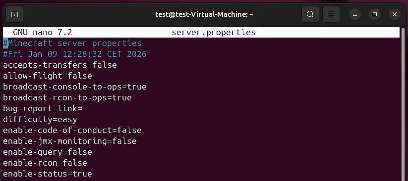 Imagem: Servidor Minecraft no Linux: configuração padrão em server.properties