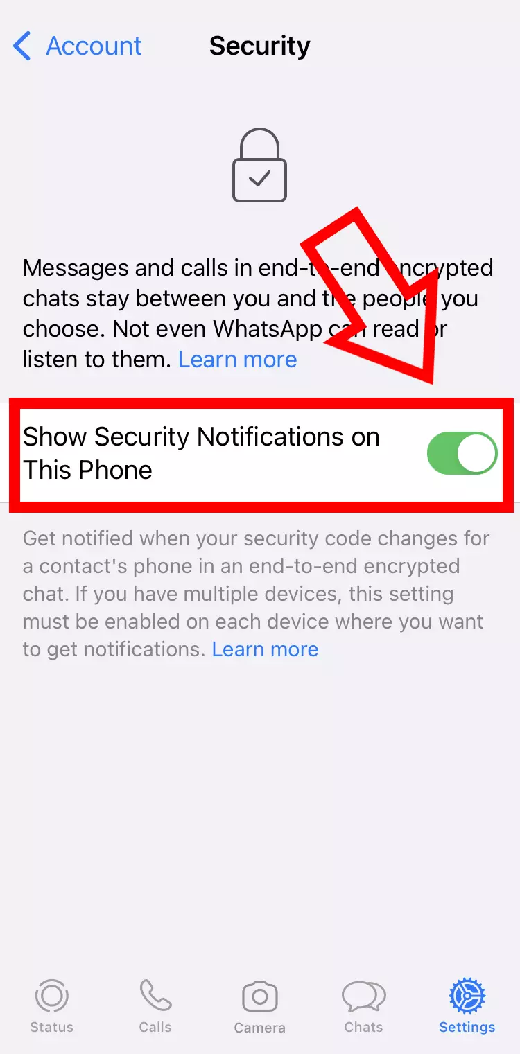 Imagem: Captura de tela do iPhone das opções de segurança nas configurações da conta do WhatsApp