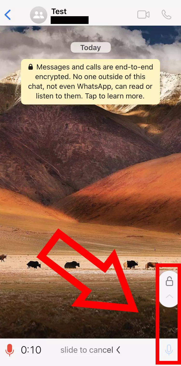 Imagem: Captura de tela do iPhone do recurso de gravação de voz no WhatsApp