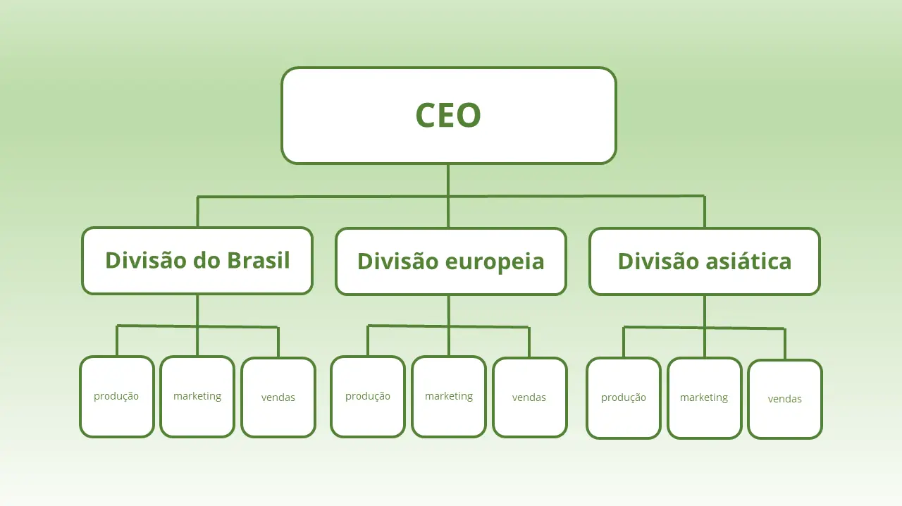 Imagem: Exemplo de estrutura organizacional divisional