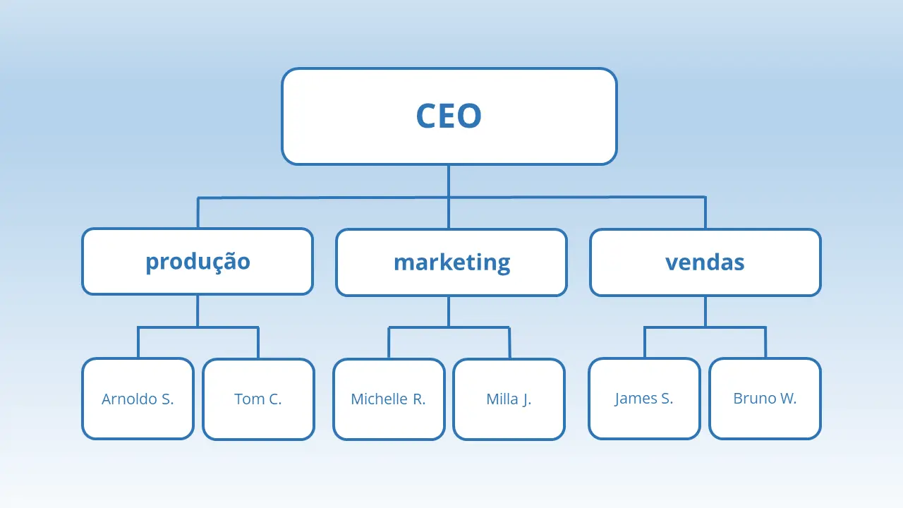 Imagem: Exemplo de estrutura organizacional funcional