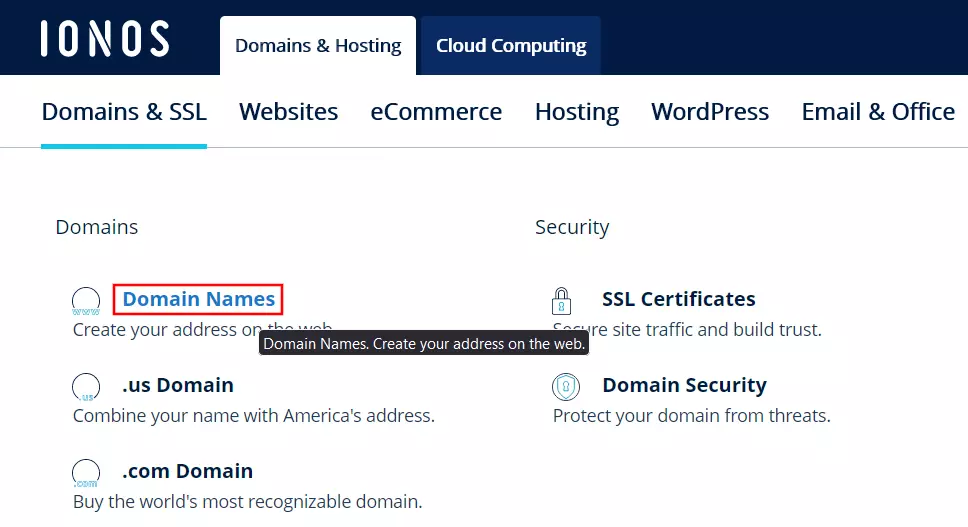 Compre seu próprio domínio para o ProtonMail no site da IONOS Compre seu próprio domínio para o ProtonMail no site da IONOS