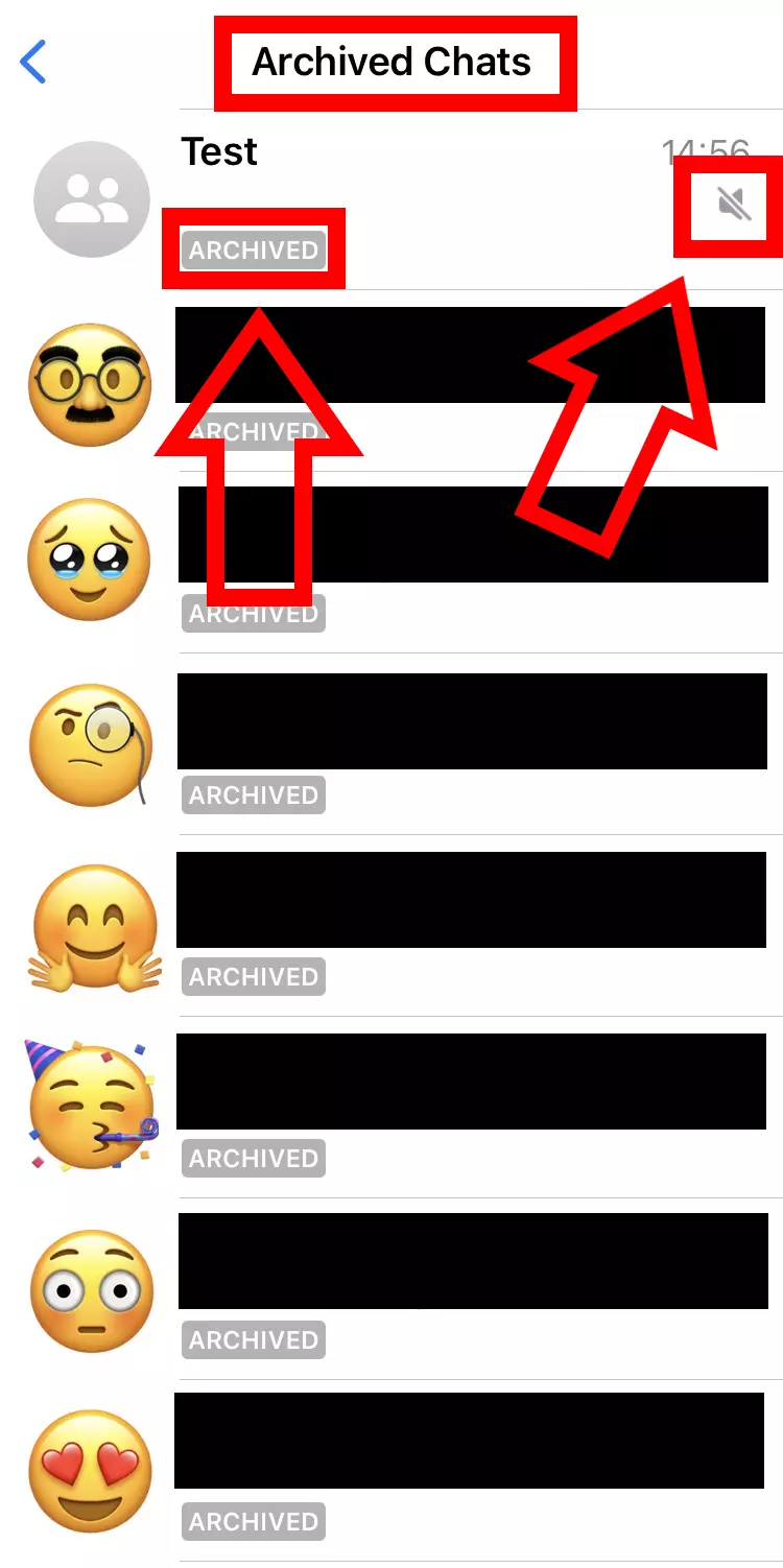 Imagem: Captura de tela do iPhone de bate-papos arquivados no WhatsApp