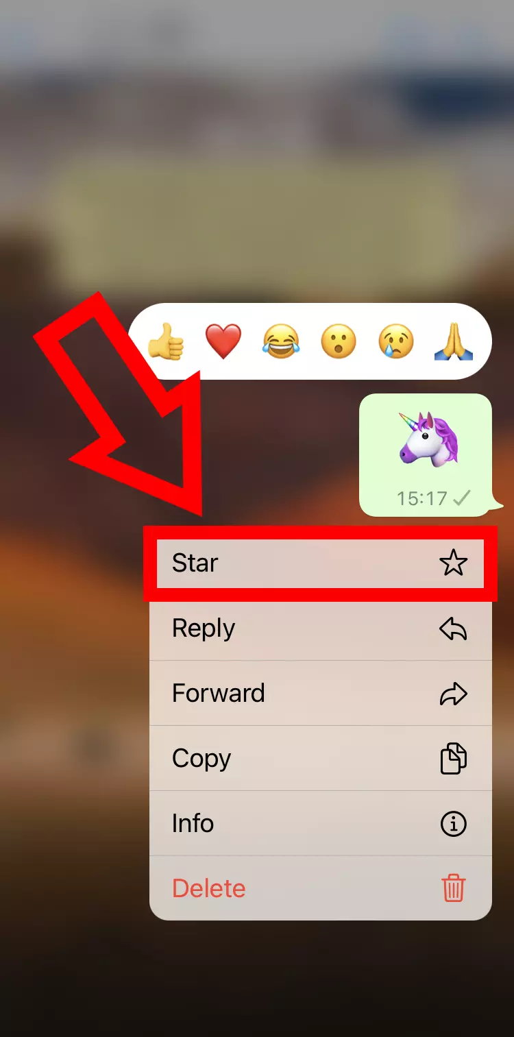Imagem: Captura de tela do iPhone com o recurso Estrela no WhatsApp