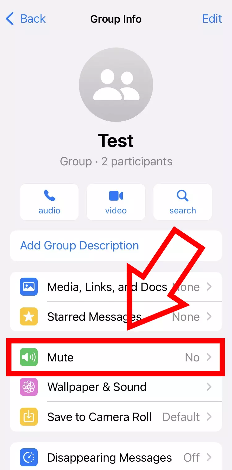 Imagem: Captura de tela do iPhone da função mudo no WhatsApp