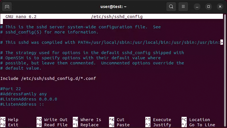 Imagem: Conteúdo do arquivo de configuração do OpenSSH sshd_config