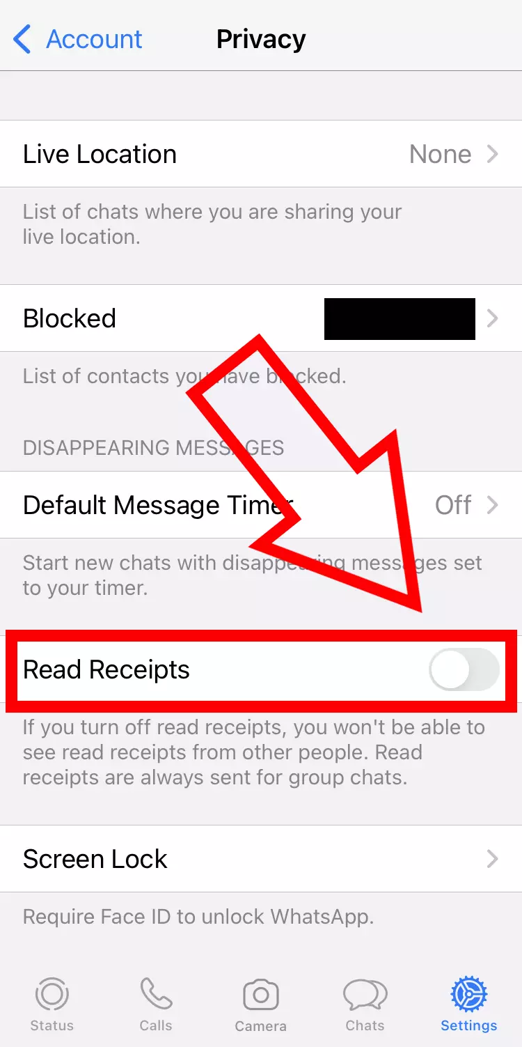 Imagem: Captura de tela do iPhone das configurações de privacidade do WhatsApp com recibos de leitura desativados