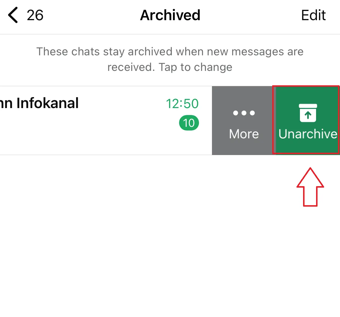 Captura de tela do iPhone com a opção “Desarquivar” de uma conversa arquivada do WhatsApp Imagem: Captura de tela do iPhone com a opção “Desarquivar” de uma conversa arquivada do WhatsApp