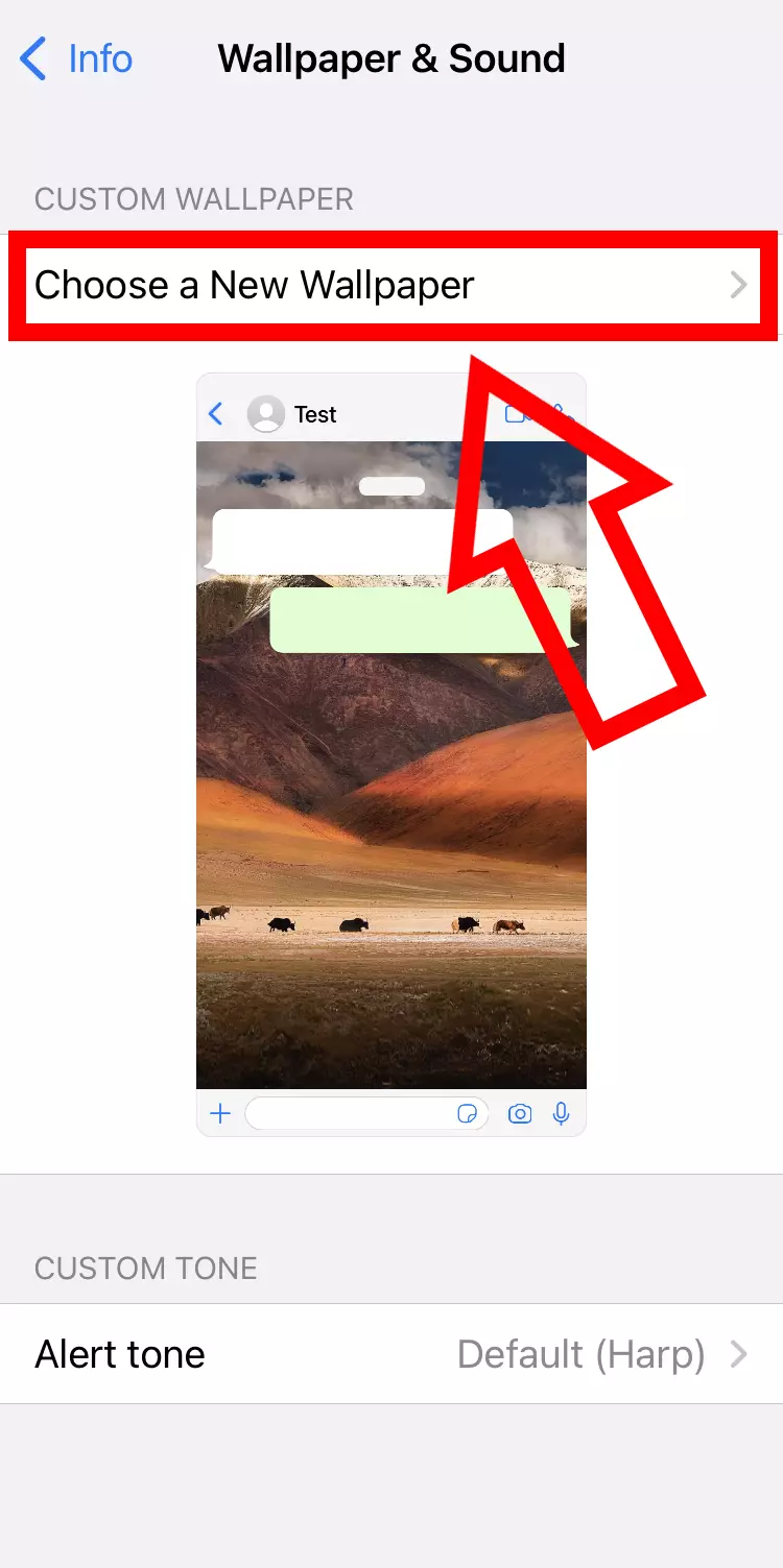 Imagem: Captura de tela do iPhone das opções de papel de parede personalizado no WhatsApp