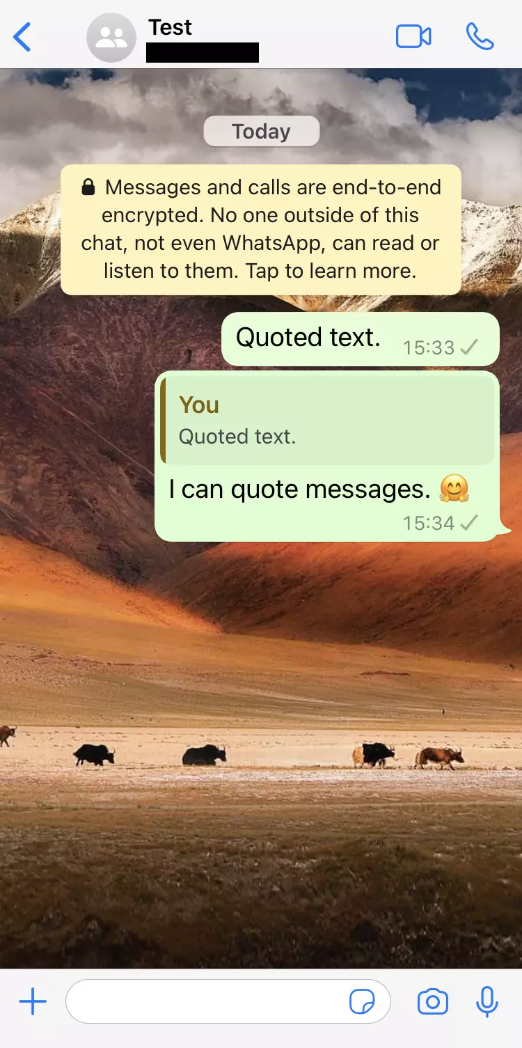 Imagem: Captura de tela do iPhone de um bate-papo do WhatsApp com texto citado