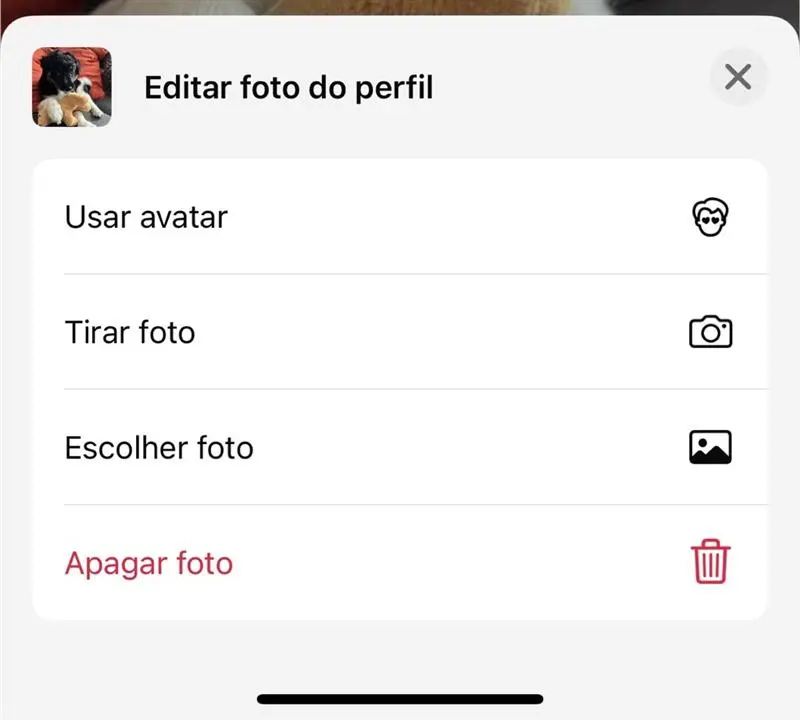 Captura de tela da seção “Editar foto do perfil” nas configurações do WhatsApp no iOS Imagem: Captura de tela da seção “Editar foto do perfil” nas configurações do WhatsApp no iOS