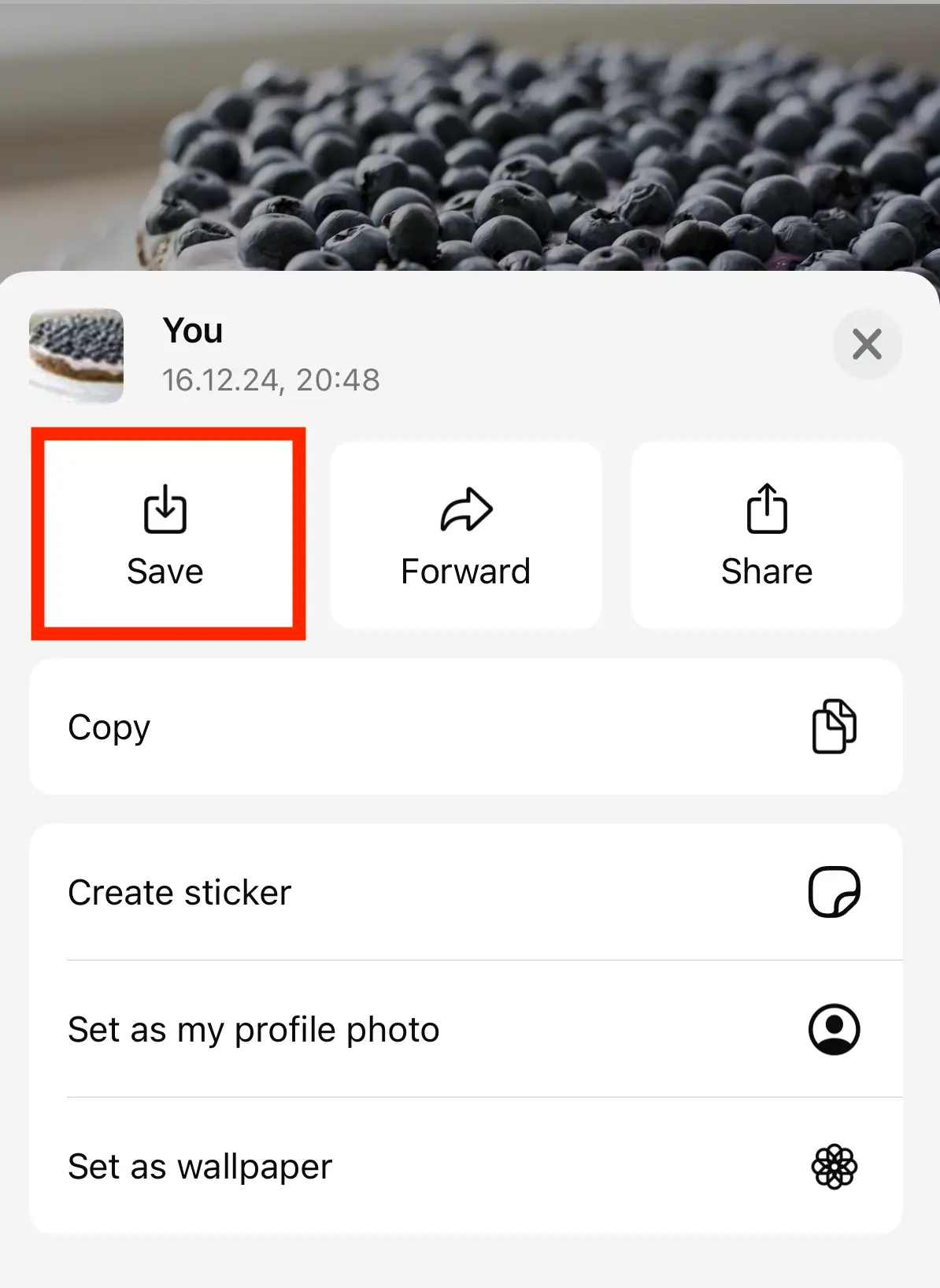 Como salvar fotos do WhatsApp na Galeria do iPhone Imagem: Como salvar fotos do WhatsApp na Galeria do iPhone