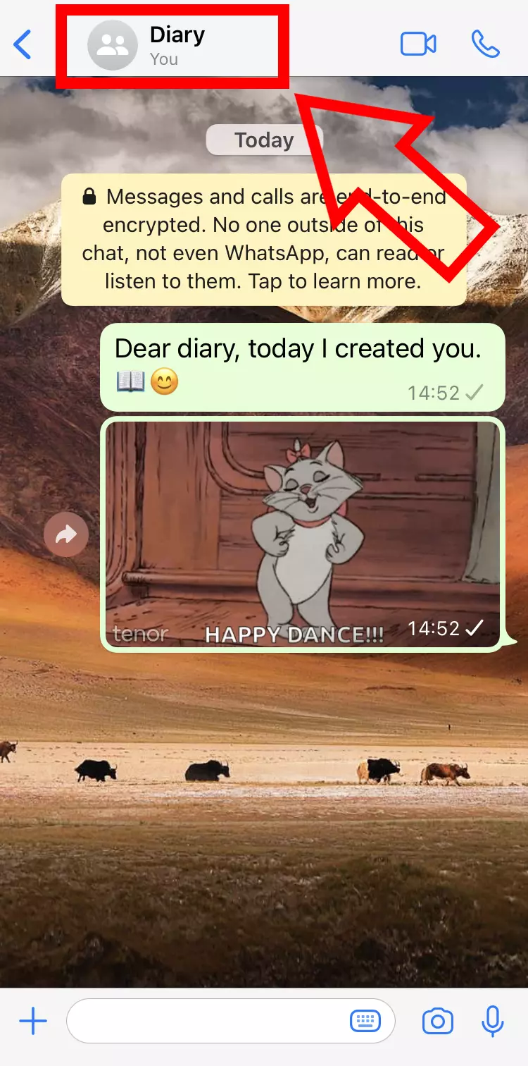 Imagem: Captura de tela do iPhone de um diário particular no WhatsApp