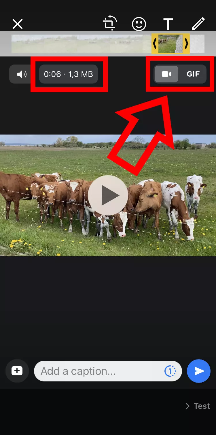Imagem: Captura de tela do iPhone do corte de um vídeo no WhatsApp com o botão GIF