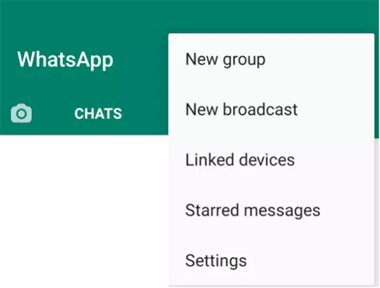 Menus iniciais no WhatsApp Imagem: Menus iniciais no WhatsApp
