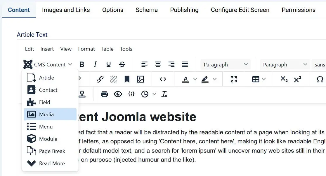 Imagem: Joomla: barra de menú del editor TinyMCE