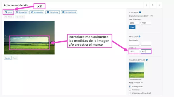 Imagem: Elige las medidas nuevas de la imagen en la biblioteca multimedia de WordPress