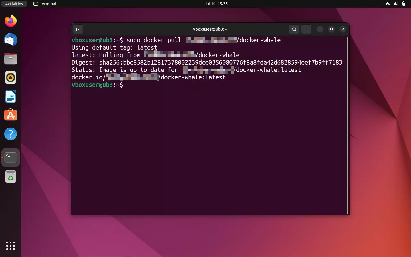 Imagem: Estado: “Image is up to date” (“la copia local está actualizada”)