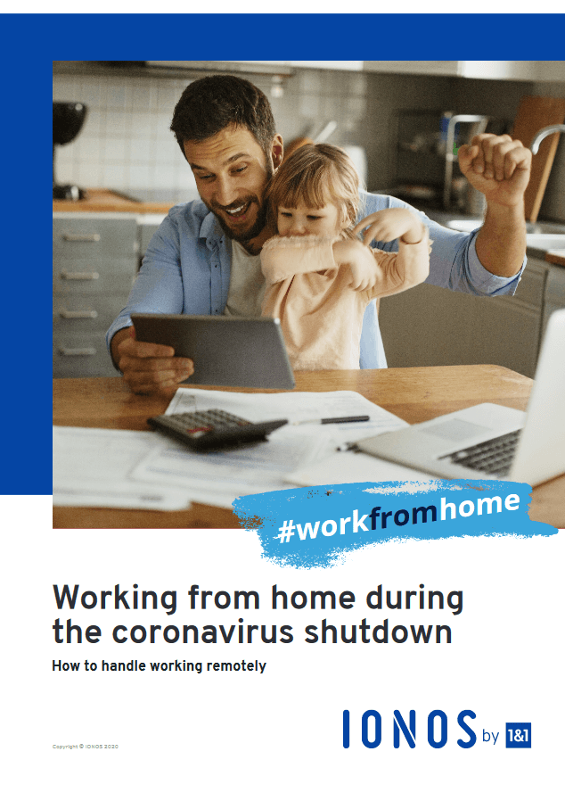 Free Working from Home Whitepaper