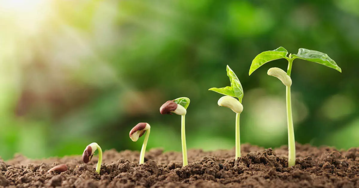 Image: ISO 14001 – The standard for more sustainability